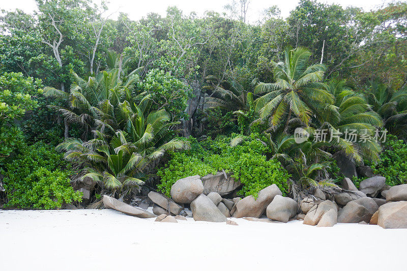 Anse Georgette, Praslin，塞舌尔